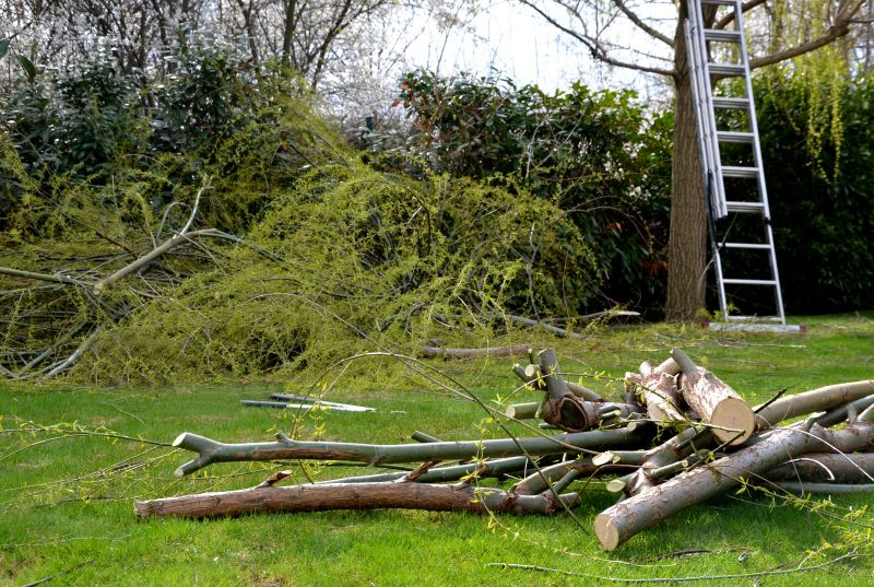 Yard with Fallen Tree
