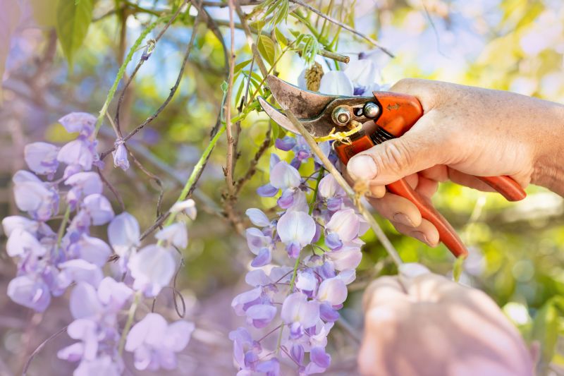 Spring Bloom Pruning